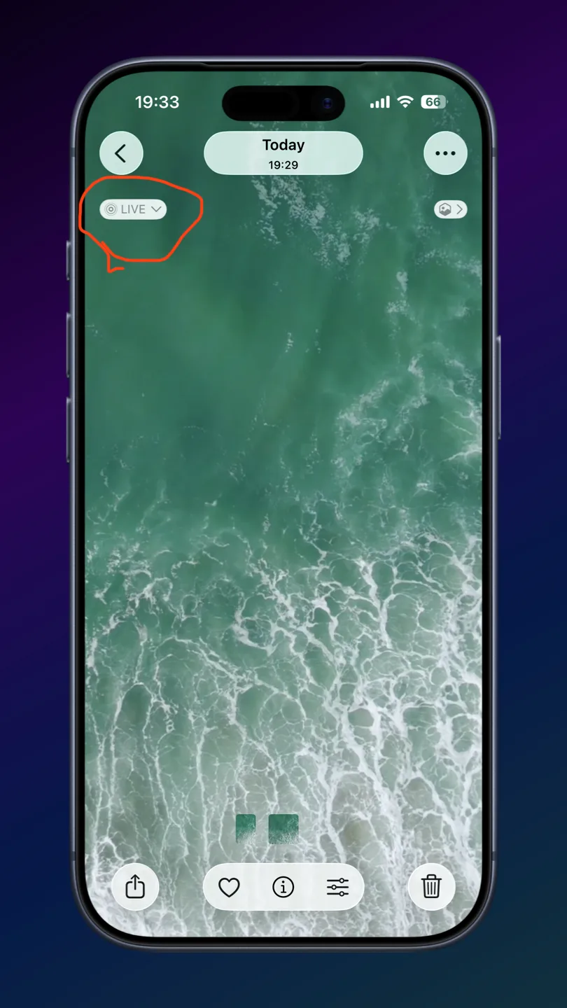 iPhone Photos app showing a Live Photo in full-screen view with the LIVE badge circled in the upper-left corner